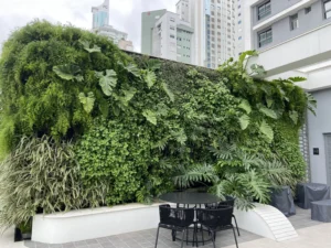 parede verde com plantas selecionadas, para empreendimento em Balneário Camboriú.
